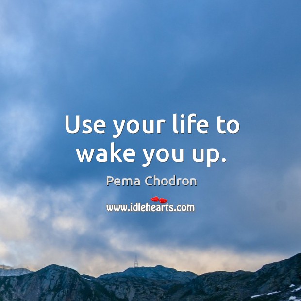 Use your life to wake you up. Pema Chodron Picture Quote
