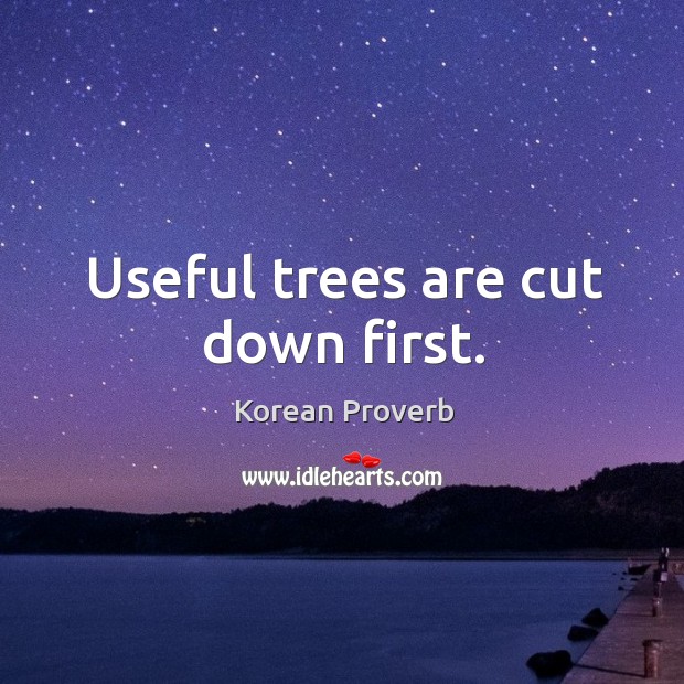 Useful trees are cut down first. Image