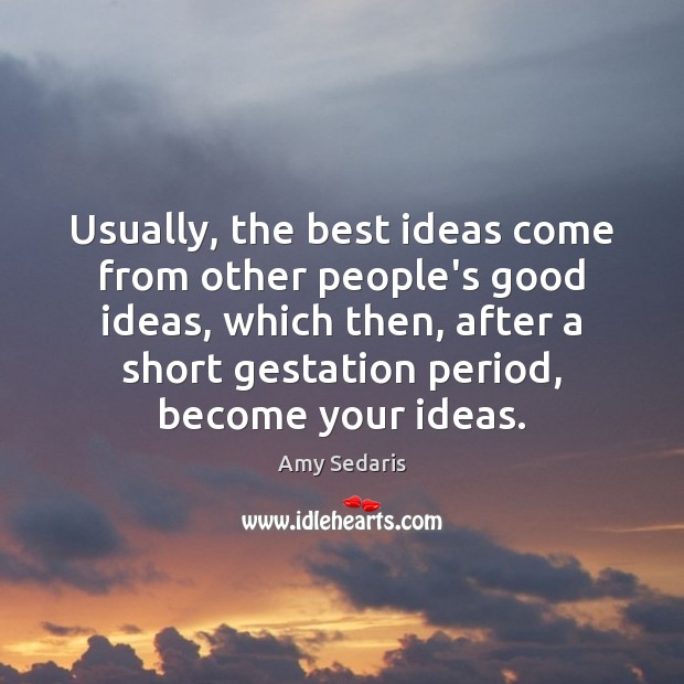 Usually, the best ideas come from other people’s good ideas, which then, Amy Sedaris Picture Quote