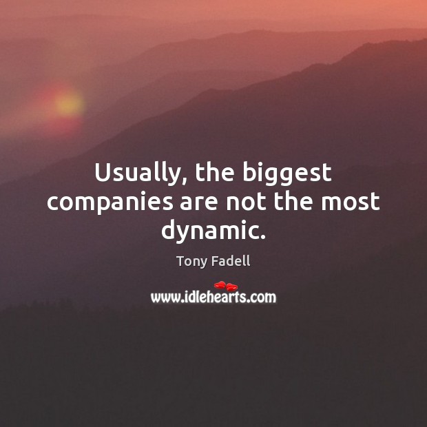 Usually, the biggest companies are not the most dynamic. Tony Fadell Picture Quote