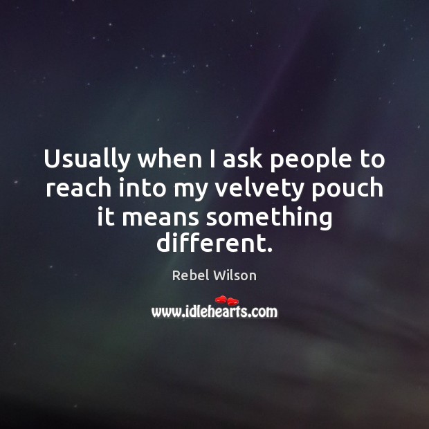 Usually when I ask people to reach into my velvety pouch it means something different. Rebel Wilson Picture Quote