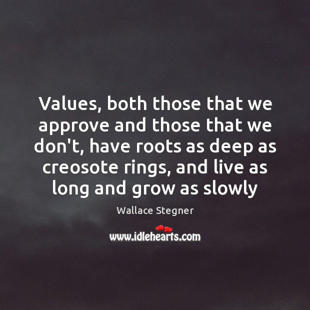 Values, both those that we approve and those that we don’t, have Wallace Stegner Picture Quote