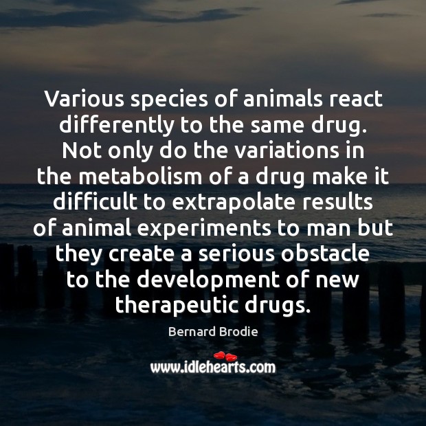Various species of animals react differently to the same drug. Not only Image