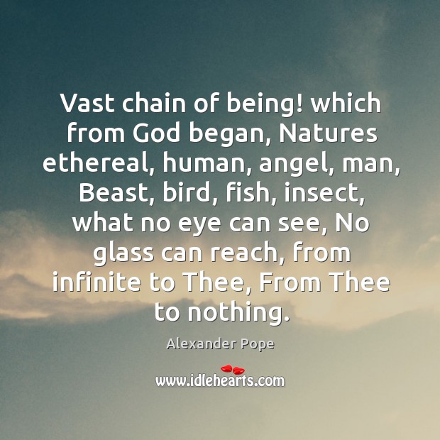 Vast chain of being! which from God began, Natures ethereal, human, angel, Alexander Pope Picture Quote