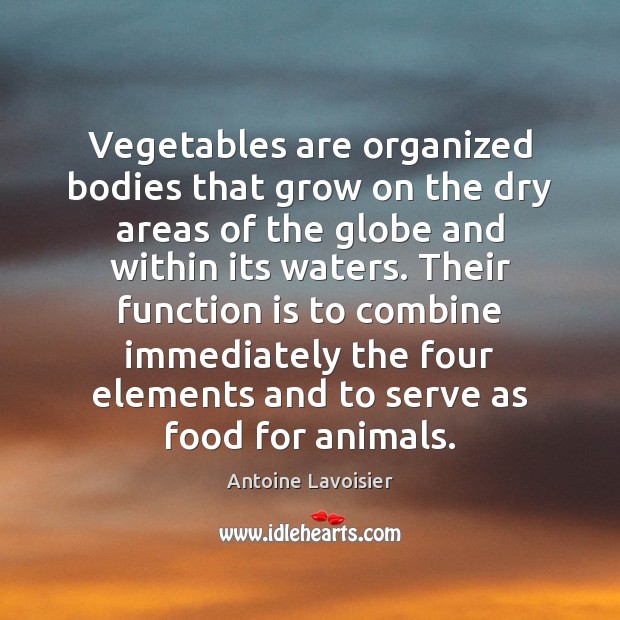 Vegetables are organized bodies that grow on the dry areas of the Serve Quotes Image