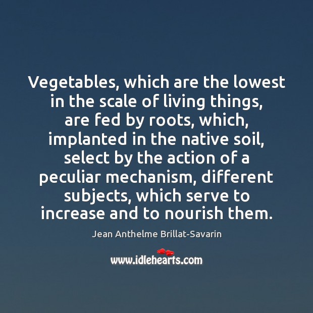 Vegetables, which are the lowest in the scale of living things, are Serve Quotes Image