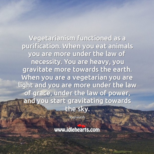 Vegetarianism functioned as a purification. When you eat animals you are more Image
