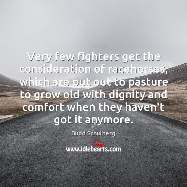 Very few fighters get the consideration of racehorses, which are put out Image