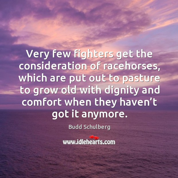 Very few fighters get the consideration of racehorses, which are put out to pasture to grow old Budd Schulberg Picture Quote