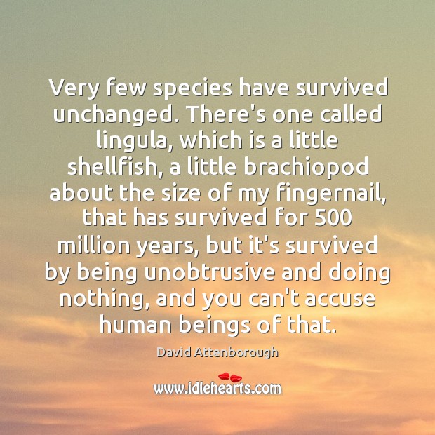 Very few species have survived unchanged. There’s one called lingula, which is David Attenborough Picture Quote