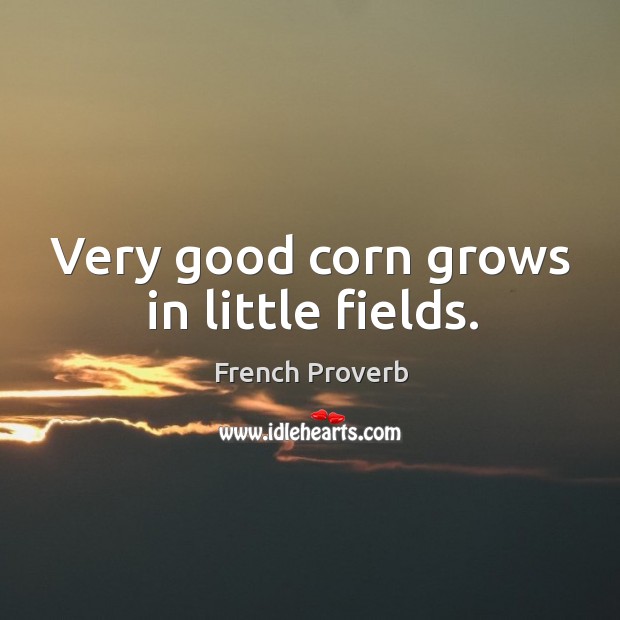 Very good corn grows in little fields. French Proverbs Image