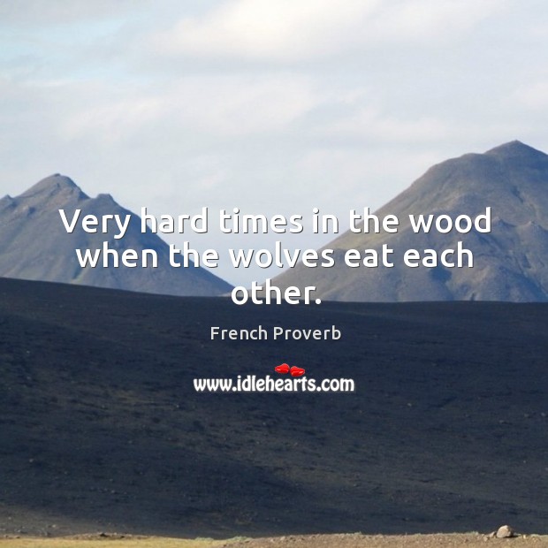 Very hard times in the wood when the wolves eat each other. Image