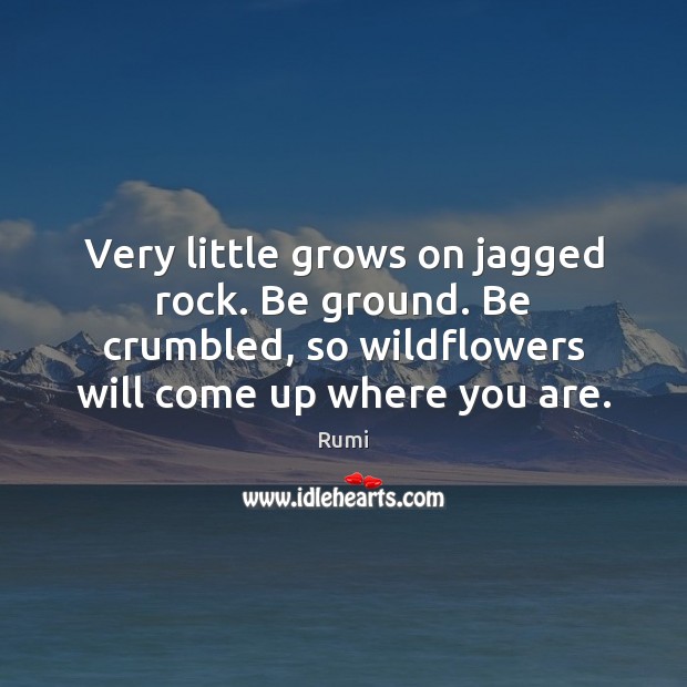 Very little grows on jagged rock. Be ground. Be crumbled, so wildflowers Image