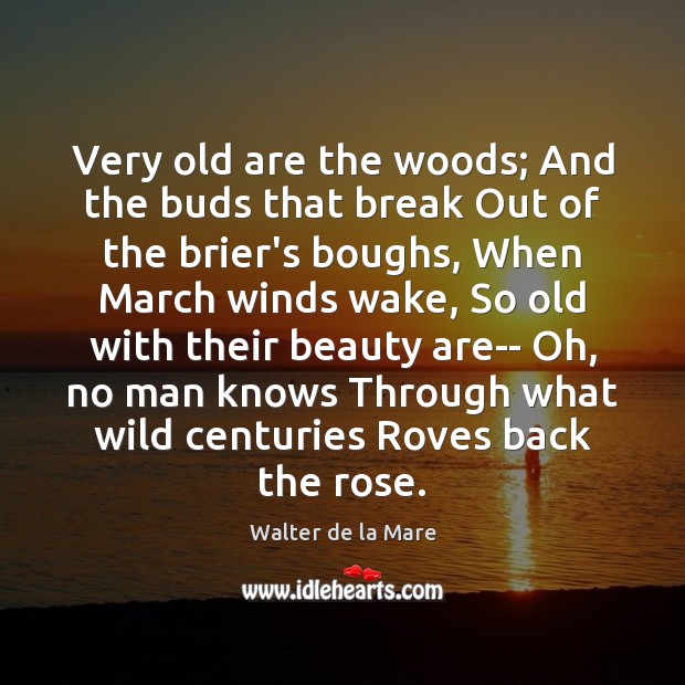 Very old are the woods; And the buds that break Out of Walter de la Mare Picture Quote