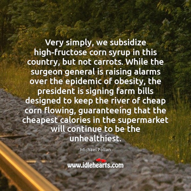 Very simply, we subsidize high-fructose corn syrup in this country, but not Michael Pollan Picture Quote