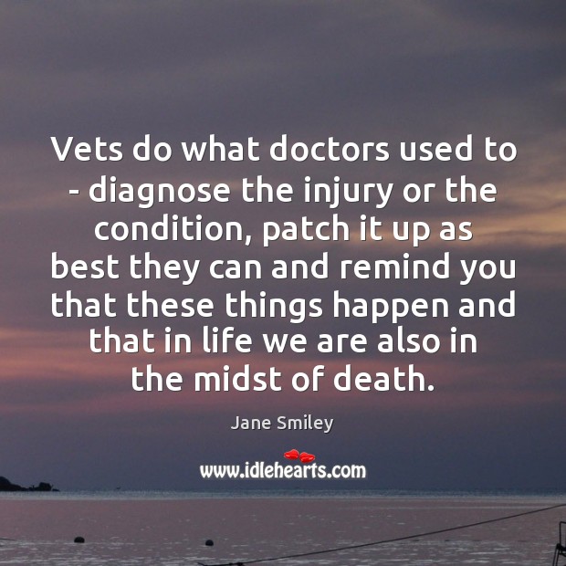 Vets do what doctors used to – diagnose the injury or the Jane Smiley Picture Quote