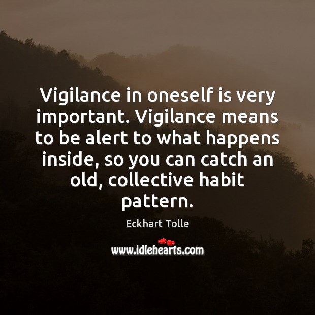 Vigilance in oneself is very important. Vigilance means to be alert to Eckhart Tolle Picture Quote