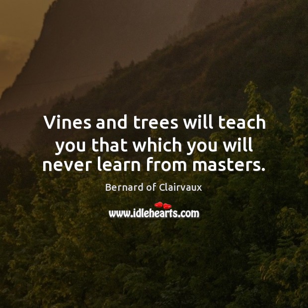 Vines and trees will teach you that which you will never learn from masters. Bernard of Clairvaux Picture Quote