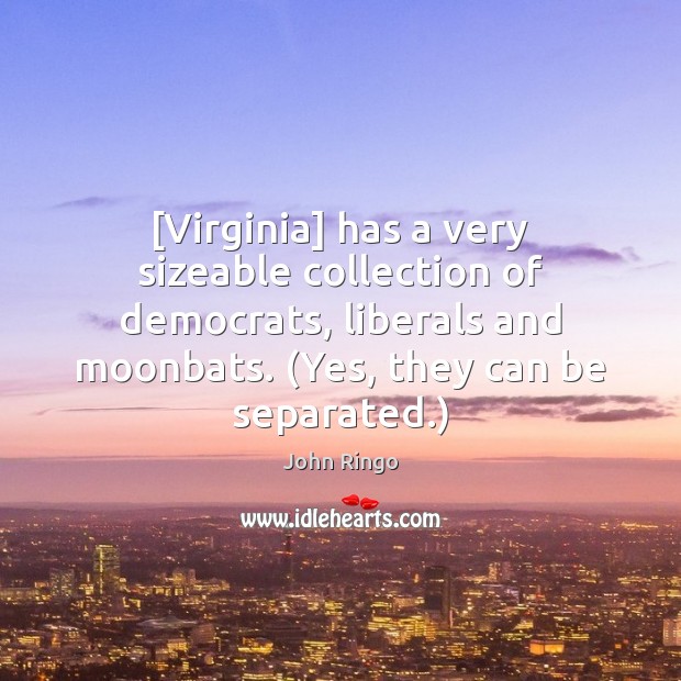 [Virginia] has a very sizeable collection of democrats, liberals and moonbats. (Yes, Image