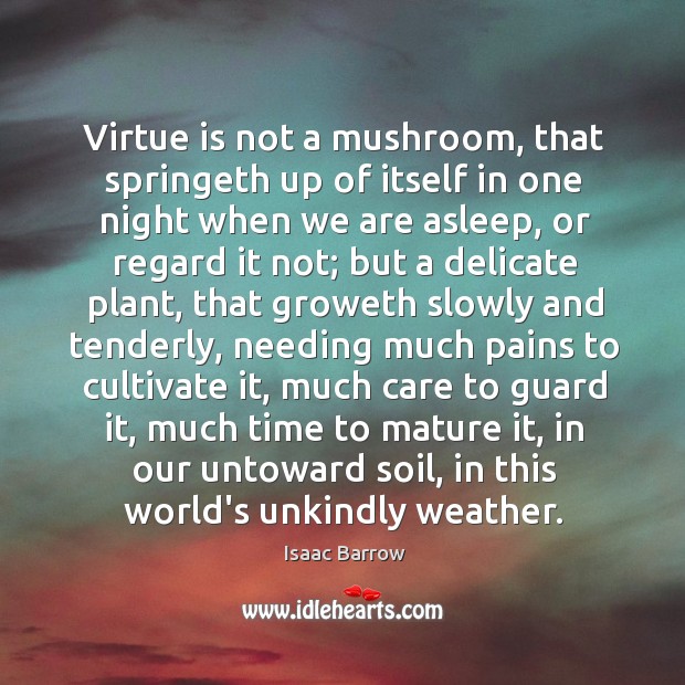 Virtue is not a mushroom, that springeth up of itself in one Isaac Barrow Picture Quote