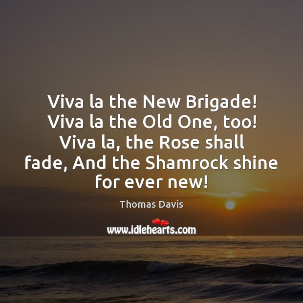 Viva la the New Brigade! Viva la the Old One, too! Viva Thomas Davis Picture Quote