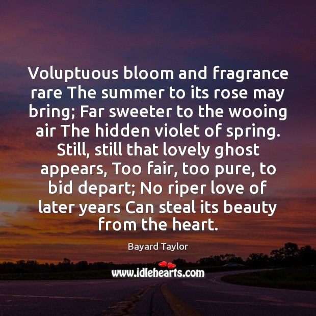 Voluptuous bloom and fragrance rare The summer to its rose may bring; Hidden Quotes Image
