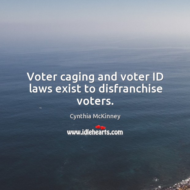 Voter caging and voter id laws exist to disfranchise voters. Cynthia McKinney Picture Quote