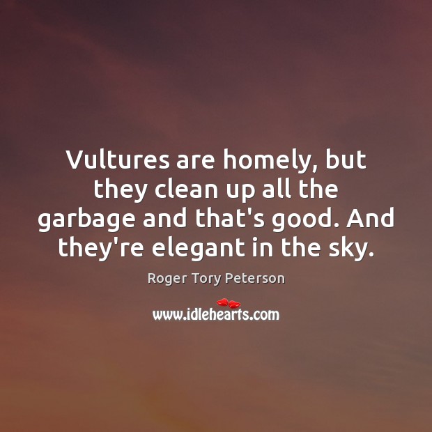 Vultures are homely, but they clean up all the garbage and that’s Roger Tory Peterson Picture Quote