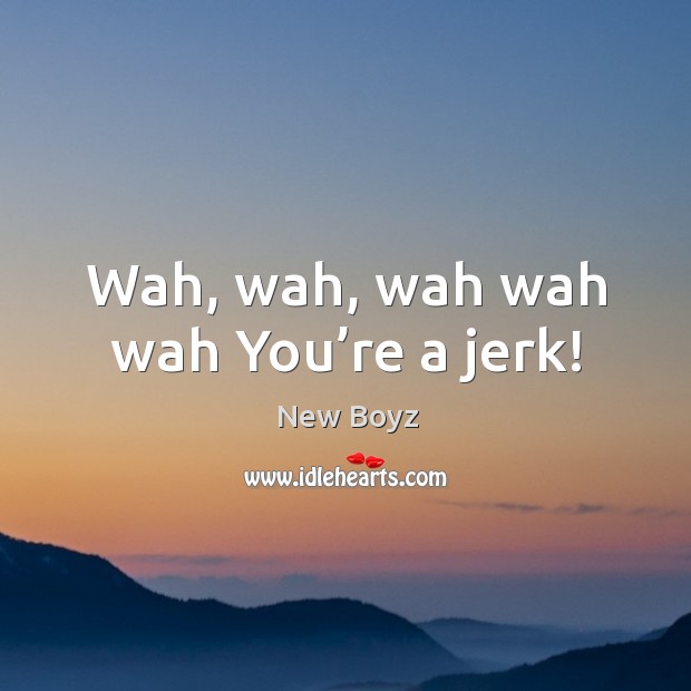 Wah, wah, wah wah wah you’re a jerk! New Boyz Picture Quote