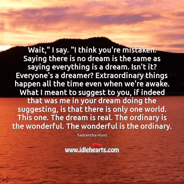 Wait,” I say. “I think you’re mistaken. Saying there is no dream Dream Quotes Image