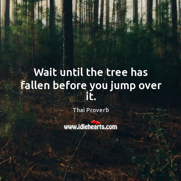 Wait until the tree has fallen before you jump over it. Image