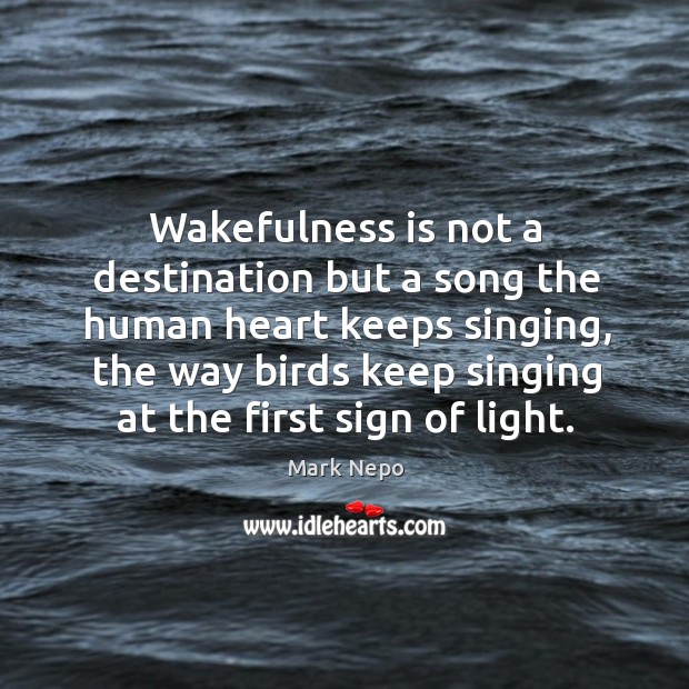 Wakefulness is not a destination but a song the human heart keeps Image
