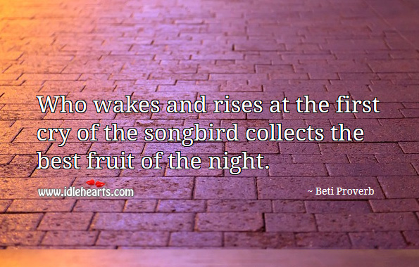 Who wakes and rises at the first cry of the songbird collects the best fruit of the night. Beti Proverbs Image