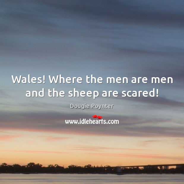 Wales! Where the men are men and the sheep are scared! Image
