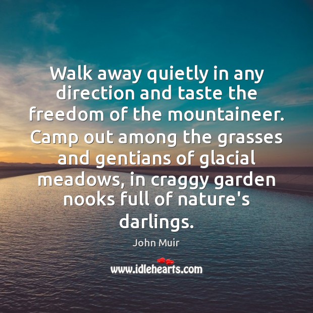 Walk away quietly in any direction and taste the freedom of the John Muir Picture Quote