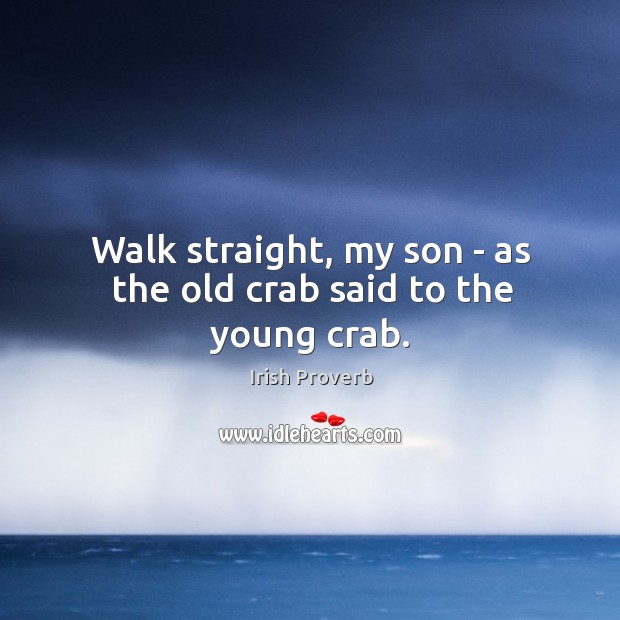 Walk straight, my son – as the old crab said to the young crab. Image