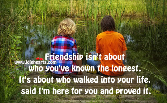 Friendship is about who walked into your life Image