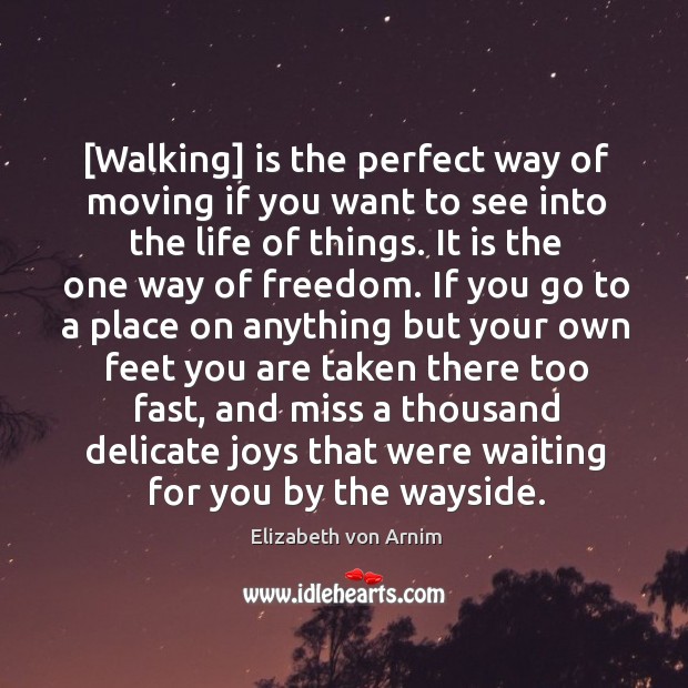 [Walking] is the perfect way of moving if you want to see Elizabeth von Arnim Picture Quote