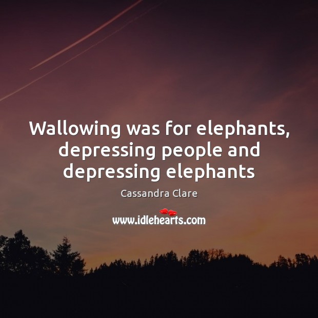Wallowing was for elephants, depressing people and depressing elephants Image