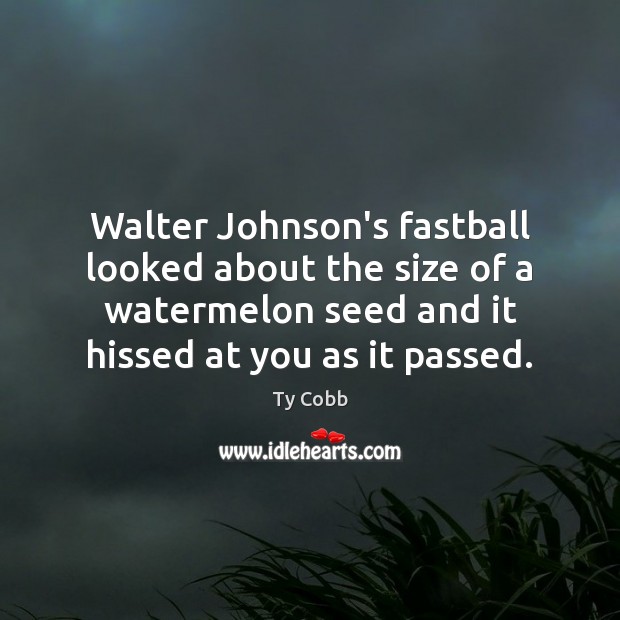 Walter Johnson’s fastball looked about the size of a watermelon seed and Ty Cobb Picture Quote