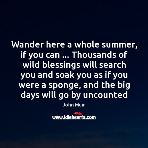 Wander here a whole summer, if you can … Thousands of wild blessings John Muir Picture Quote