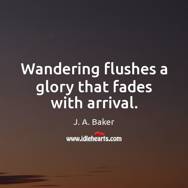 Wandering flushes a glory that fades with arrival. 