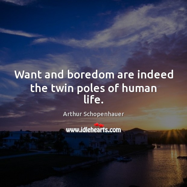 Want and boredom are indeed the twin poles of human life. Arthur Schopenhauer Picture Quote