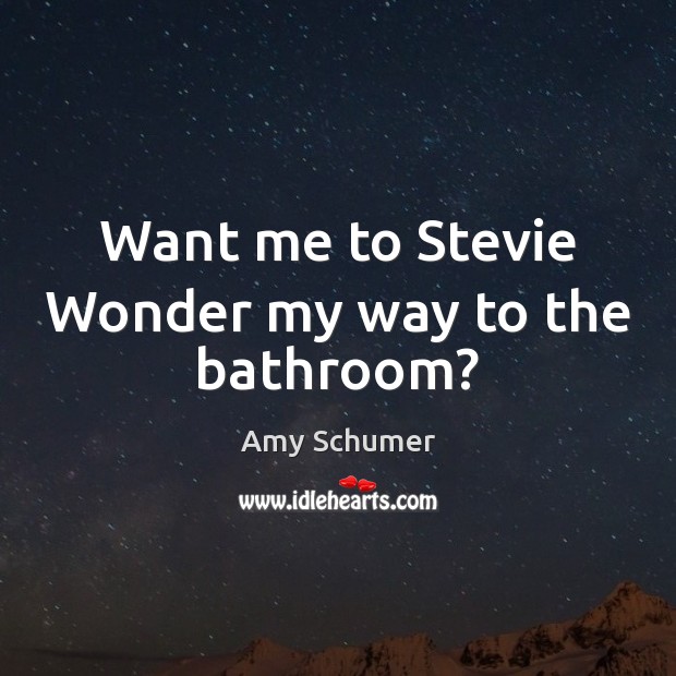 Want me to Stevie Wonder my way to the bathroom? Amy Schumer Picture Quote