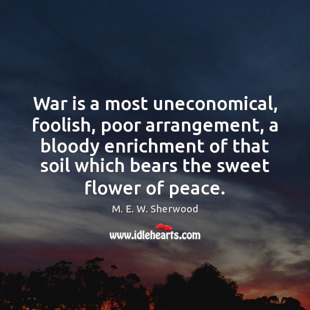 War is a most uneconomical, foolish, poor arrangement, a bloody enrichment of M. E. W. Sherwood Picture Quote