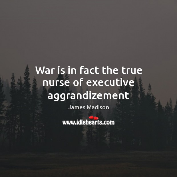 War is in fact the true nurse of executive aggrandizement War Quotes Image