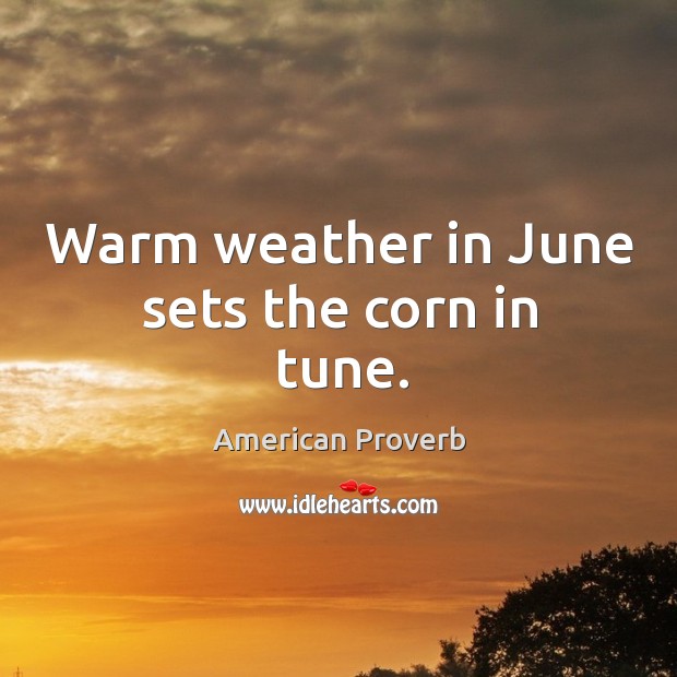 Warm weather in june sets the corn in tune. Image