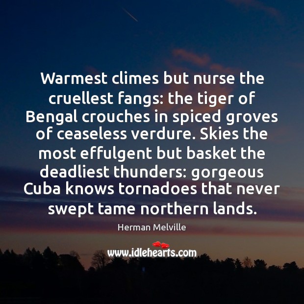 Warmest climes but nurse the cruellest fangs: the tiger of Bengal crouches Herman Melville Picture Quote