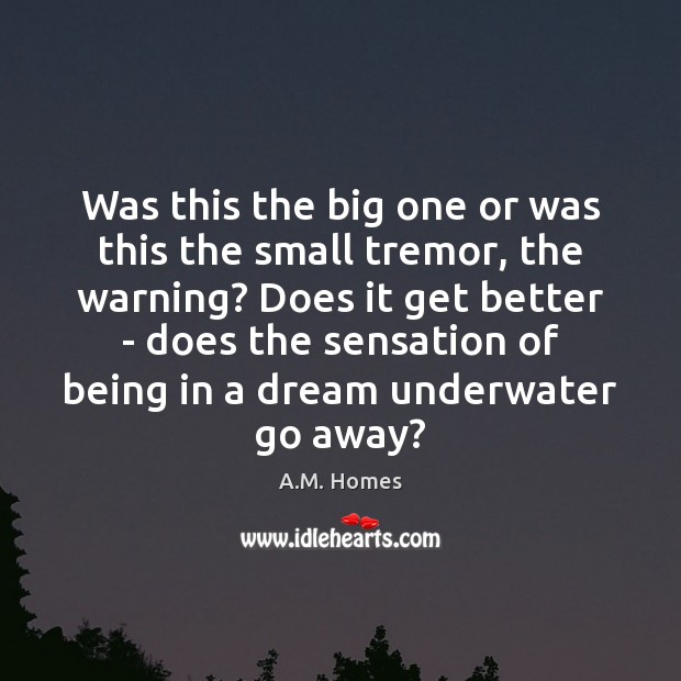 Was this the big one or was this the small tremor, the A.M. Homes Picture Quote