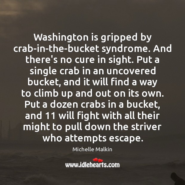 Washington is gripped by crab-in-the-bucket syndrome. And there’s no cure in sight. Michelle Malkin Picture Quote
